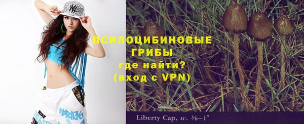 прущие крисы Рославль