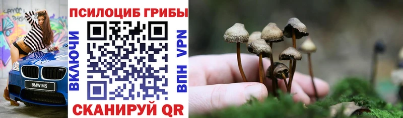 Галлюциногенные грибы Psilocybe  купить наркотики цена  Любань 